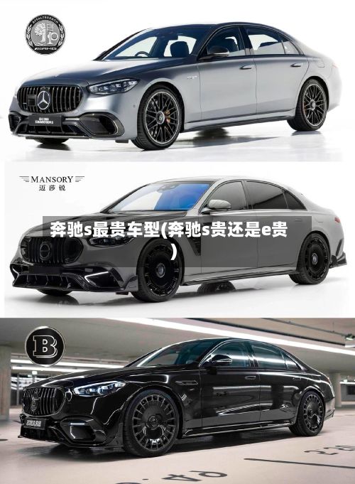 奔驰s最贵车型(奔驰s贵还是e贵)
