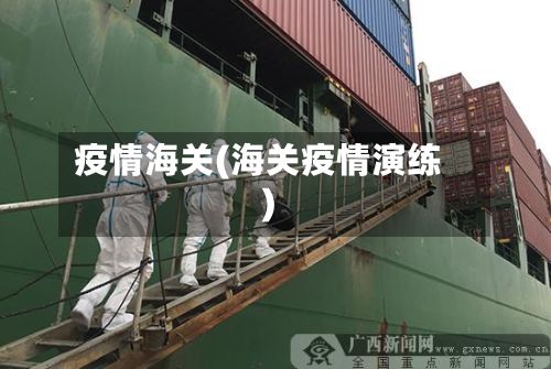 疫情海关(海关疫情演练)-第3张图片