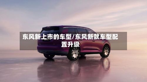东风新上市的车型/东风新款车型配置升级-第2张图片