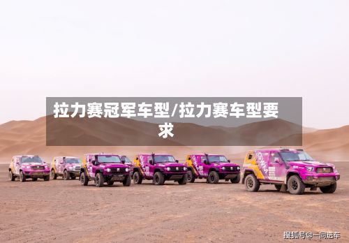 拉力赛冠军车型/拉力赛车型要求-第2张图片