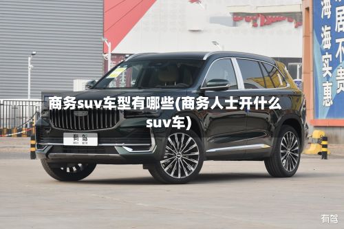 商务suv车型有哪些(商务人士开什么suv车)
