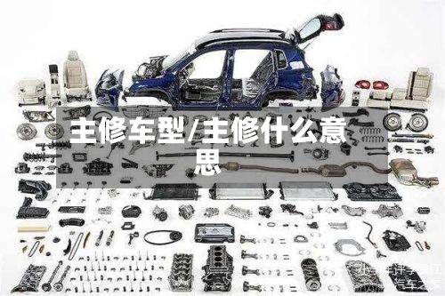 主修车型/主修什么意思