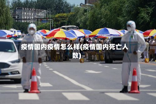 疫情国内疫情怎么样(疫情国内死亡人数)