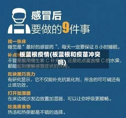 板蓝根疫情(板蓝根和疫苗冲突吗)-第2张图片