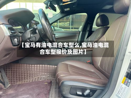 【宝马有油电混合车型么,宝马油电混合车型报价及图片】-第3张图片