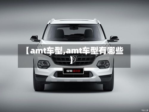 【amt车型,amt车型有哪些】