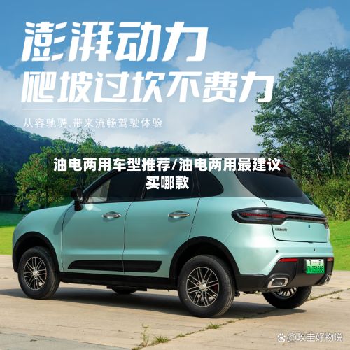 油电两用车型推荐/油电两用最建议买哪款