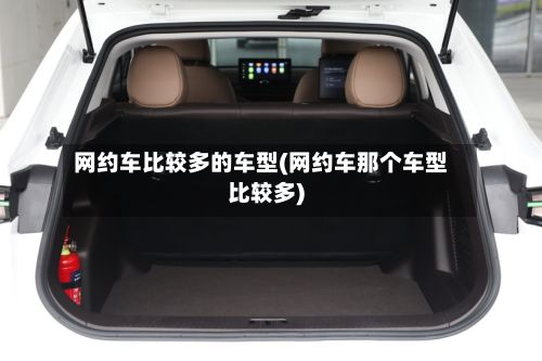 网约车比较多的车型(网约车那个车型比较多)-第2张图片