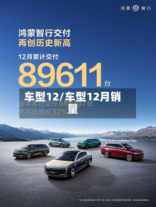 车型12/车型12月销量