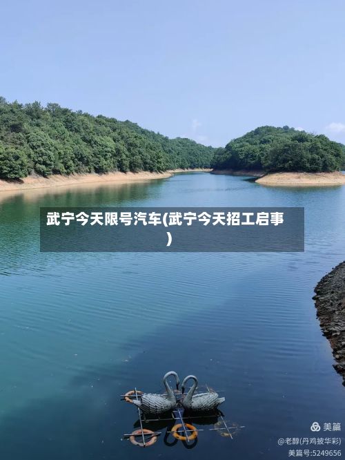 武宁今天限号汽车(武宁今天招工启事)