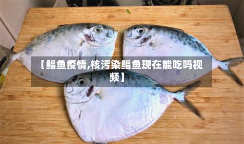【鲳鱼疫情,核污染鲳鱼现在能吃吗视频】-第2张图片