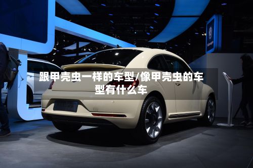 跟甲壳虫一样的车型/像甲壳虫的车型有什么车
