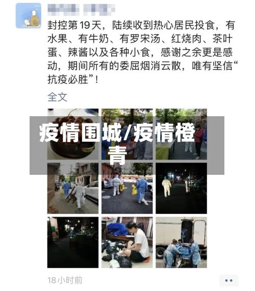 疫情围城/疫情橙青-第2张图片