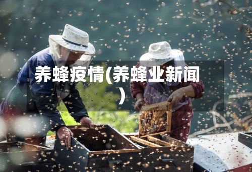 养蜂疫情(养蜂业新闻)-第2张图片