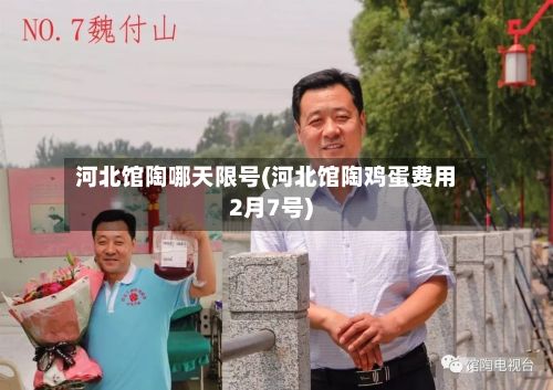 河北馆陶哪天限号(河北馆陶鸡蛋费用2月7号)-第2张图片