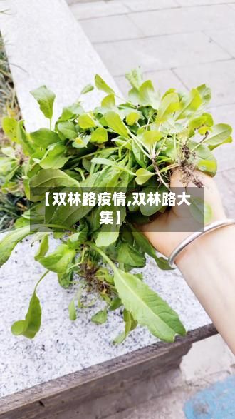 【双林路疫情,双林路大集】