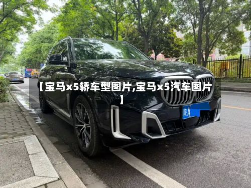 【宝马x5轿车型图片,宝马x5汽车图片】-第2张图片
