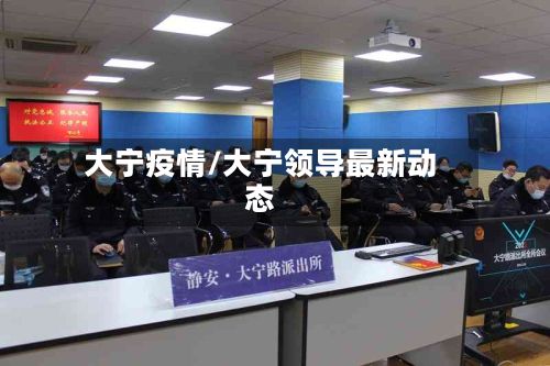 大宁疫情/大宁领导最新动态