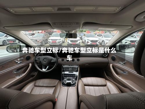奔驰车型立标/奔驰车型立标是什么车-第3张图片