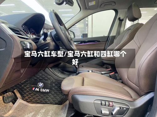 宝马六缸车型/宝马六缸和四缸哪个好-第2张图片