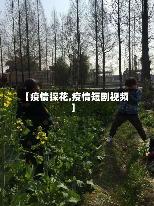 【疫情探花,疫情短剧视频】-第3张图片