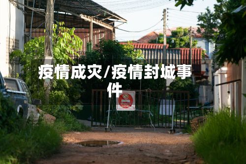 疫情成灾/疫情封城事件-第2张图片