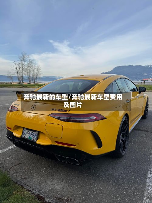 奔驰最新的车型/奔驰最新车型费用及图片-第2张图片