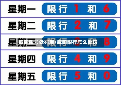 咸阳限号处罚规/咸阳限行怎么处罚-第3张图片