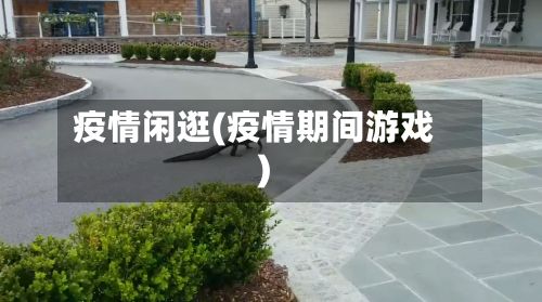 疫情闲逛(疫情期间游戏)-第2张图片