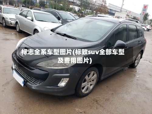 标志全系车型图片(标致suv全部车型及费用图片)