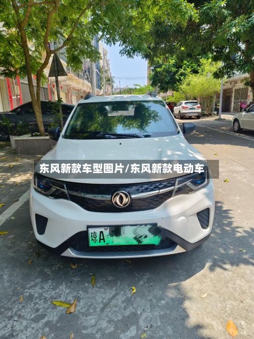 东风新款车型图片/东风新款电动车