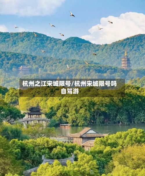 杭州之江宋城限号/杭州宋城限号吗自驾游-第3张图片