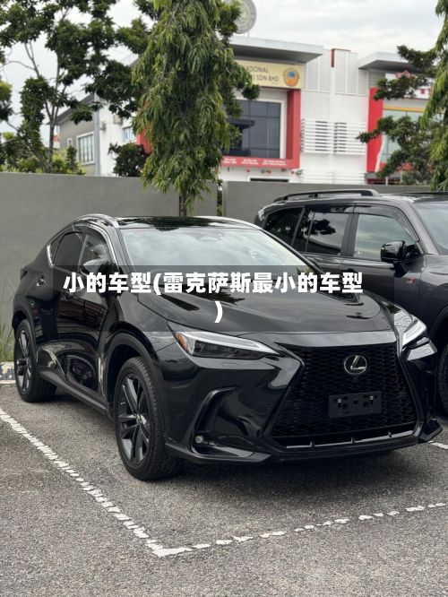 小的车型(雷克萨斯最小的车型)