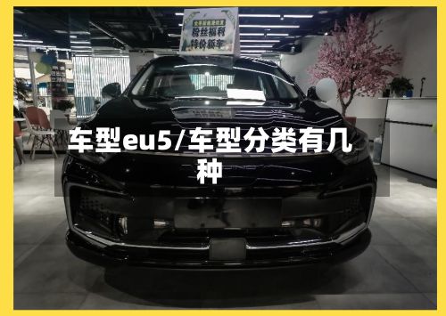 车型eu5/车型分类有几种-第2张图片