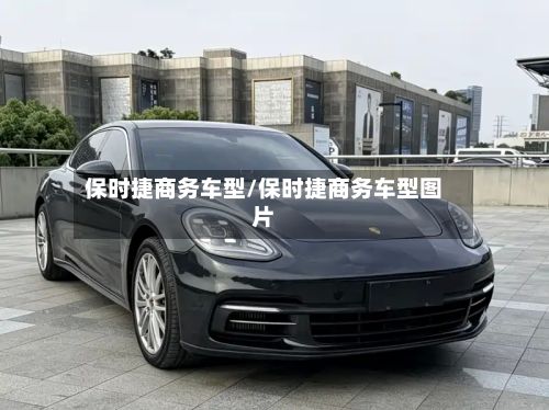 保时捷商务车型/保时捷商务车型图片