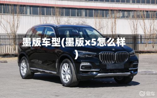 墨版车型(墨版x5怎么样)-第2张图片