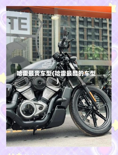 哈雷最贵车型(哈雷最酷的车型)-第2张图片