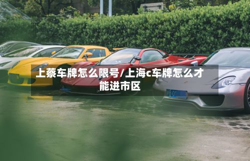 上蔡车牌怎么限号/上海c车牌怎么才能进市区
