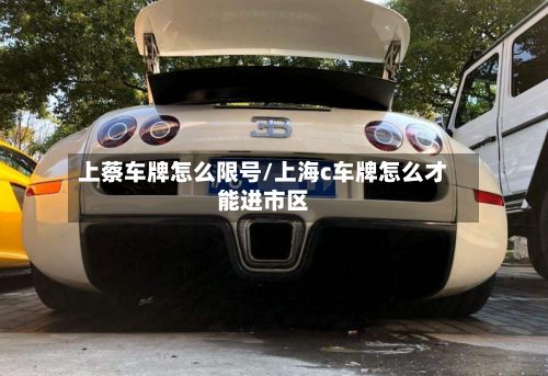 上蔡车牌怎么限号/上海c车牌怎么才能进市区-第2张图片