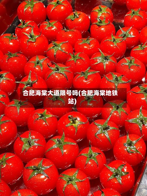 合肥海棠大道限号吗(合肥海棠地铁站)