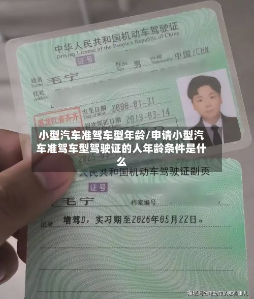 小型汽车准驾车型年龄/申请小型汽车准驾车型驾驶证的人年龄条件是什么-第2张图片