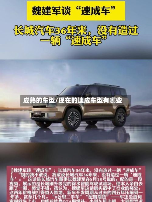 成熟的车型/现在的速成车型有哪些-第3张图片