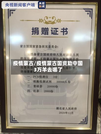 疫情蒙古/疫情蒙古国资助中国3万羊去哪了-第3张图片