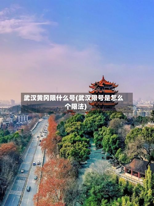 武汉黄冈限什么号(武汉限号是怎么个限法)