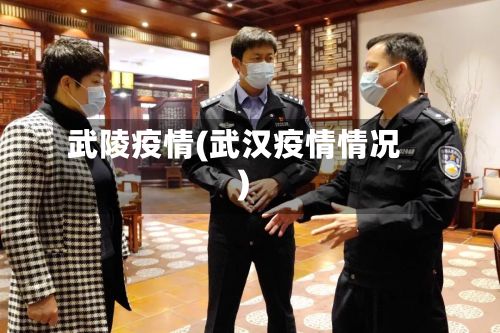 武陵疫情(武汉疫情情况)
