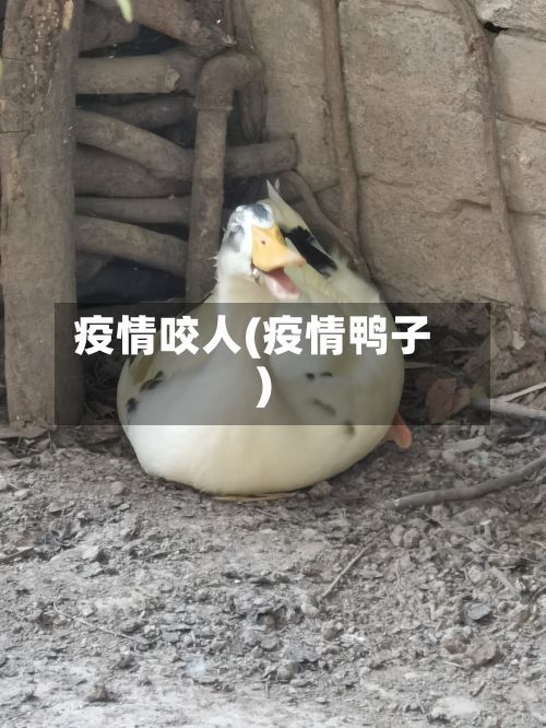 疫情咬人(疫情鸭子)-第2张图片