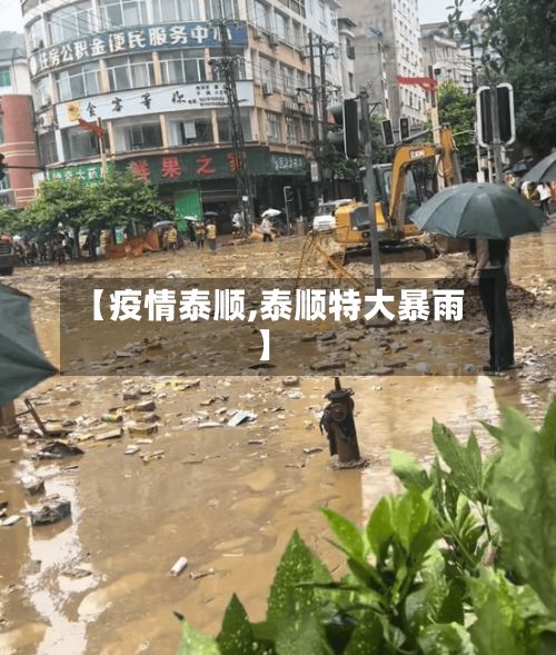 【疫情泰顺,泰顺特大暴雨】