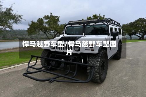 悍马越野车型/悍马越野车型图片-第2张图片
