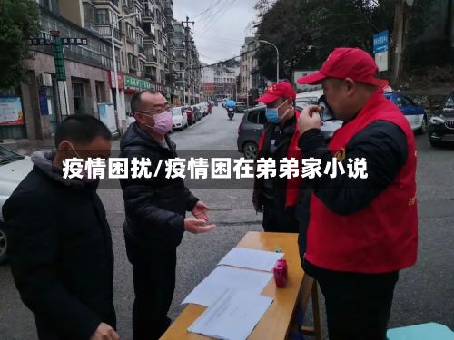 疫情困扰/疫情困在弟弟家小说
