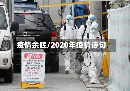 疫情余晖/2020年疫情诗句-第3张图片